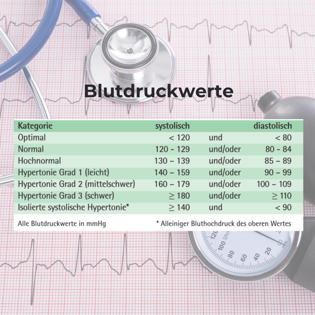 WeltHypertonieTag Gesundheitsküche WeltHypertonieTag Gesundheitsküche